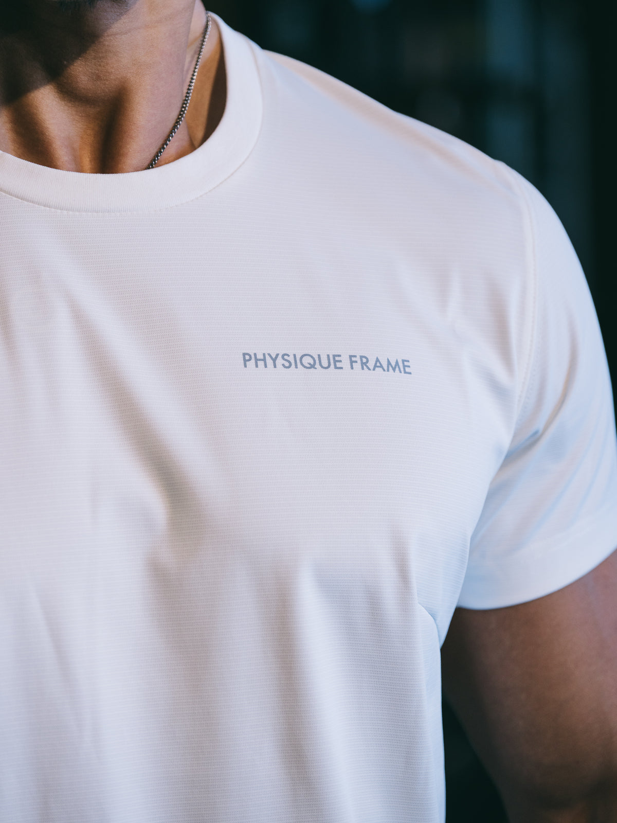 【NEW ARRIVAL】   ドライストレッチ   リフレクターロゴT   （左胸PHYSIQUE FRAMEロゴ）